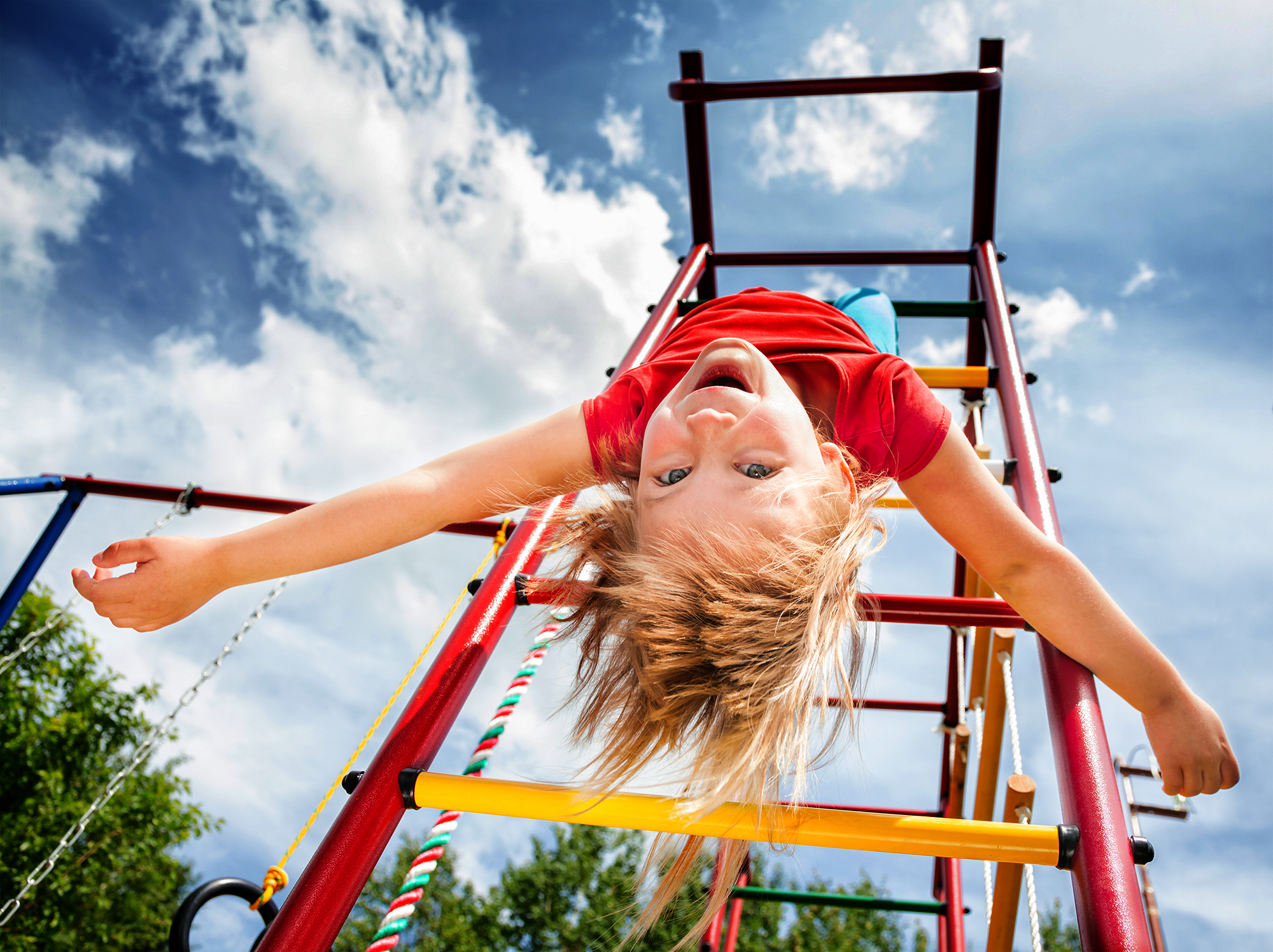 Istock 1143334824 2000